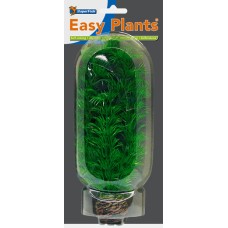 Easy Plants Middle NR4